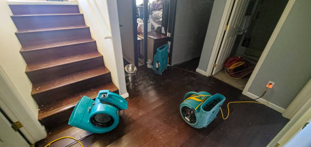 Best 24/7 water damage repair  in View Park Windsor Hills, CA