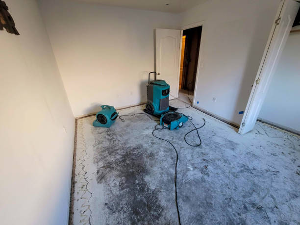 Best Water damage contractors near me  in View Park Windsor Hills, CA