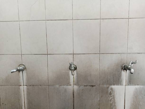 Best Water damage cleanup near me  in View Park Windsor Hills, CA