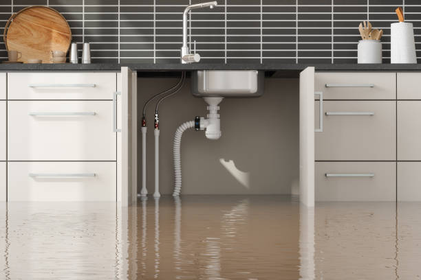 Best Residential water damage restoration  in View Park Windsor Hills, CA