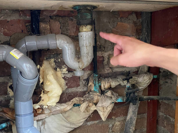Best Local water damage restoration  in View Park Windsor Hills, CA