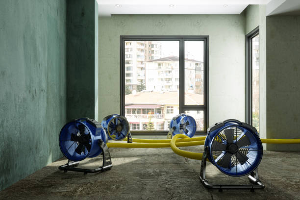 Best Water damage restoration near me  in View Park Windsor Hills, CA