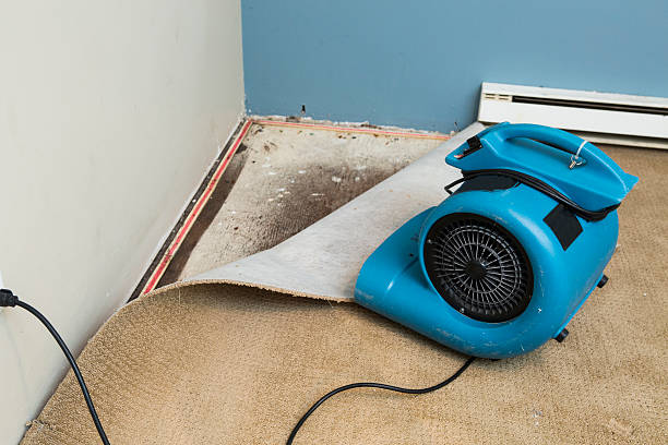 Best Sewage cleanup and water damage restoration  in View Park Windsor Hills, CA